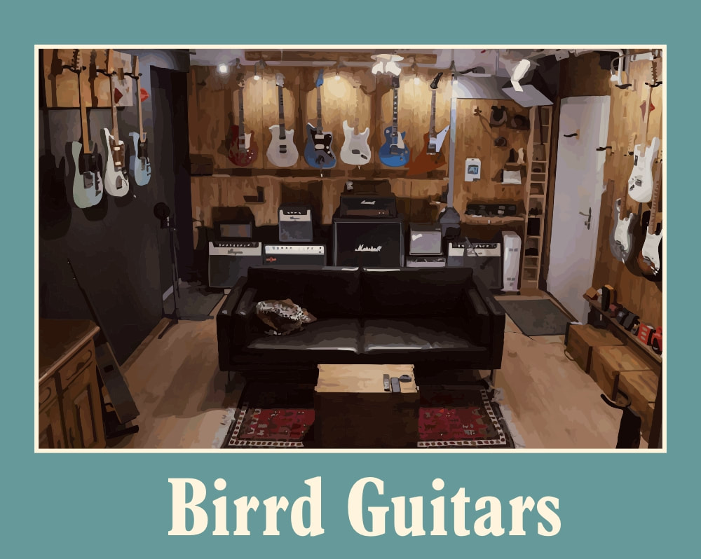 Gitarrenladen Birrd Guitars